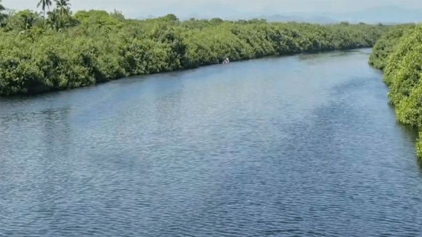 Cocodrilo ataca y devora a un adolescente de 14 años en un manglar de Michoacán