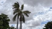 Foto ilustrativa de la nota titulada Calor extremo y posibles lluvias marcan el inicio de julio en el sur de Sonora: Conagua