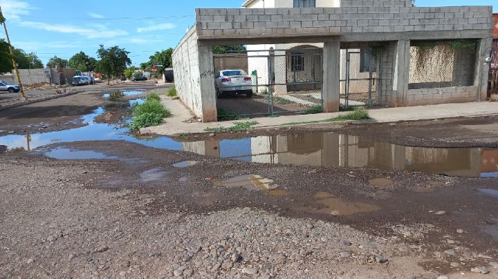 Reportan vecinos de fraccionamiento San Rafael drenajes colapsados en Ciudad Obregón