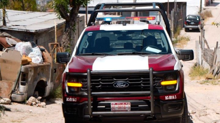 Hombre estrangula a cachorro en El Florido, Tijuana; vecinos exigen justicia