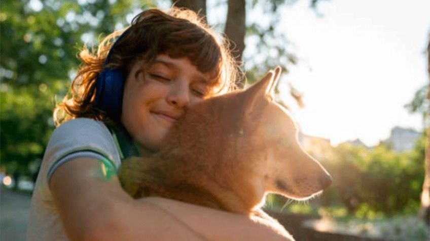 Día Mundial del Perro: Conoce el origen y significado de esta fecha especial