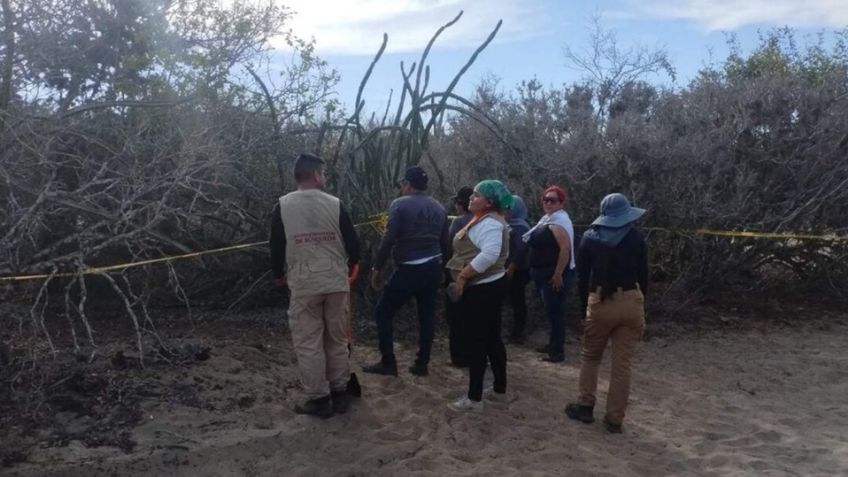 Colectivo de búsqueda de Culiacán logra el hallazgo de restos en comunidad de Sinaloa