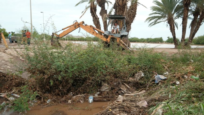 ¡Buena noticia! Limpian los canales de riego para prevenir inundaciones en Huatabampo