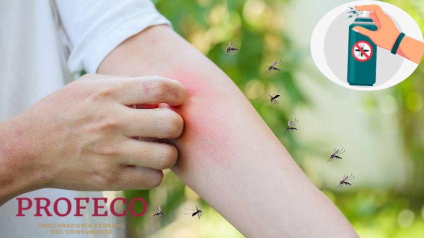 Evita picaduras: El mejor repelente de mosquitos según la Procuraduría Federal del Consumidor