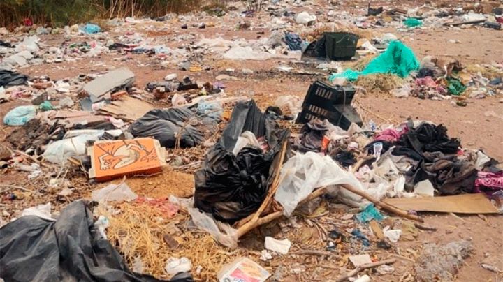 'Cochinones' hacen que Cajeme gaste 28 millones de pesos al año: Javier Lamarque