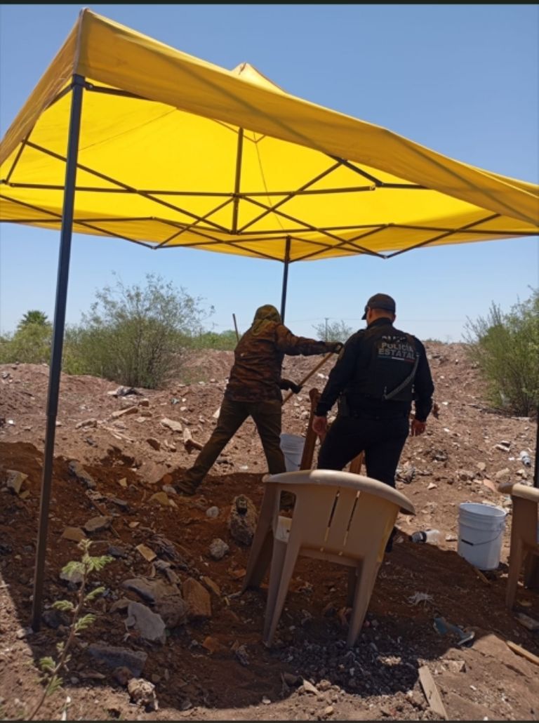 El colectivo en el sitio de búsqueda
