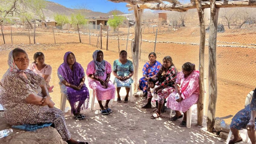 Álamos: Etnia guarijía aprovecha las lluvias para generar empleo