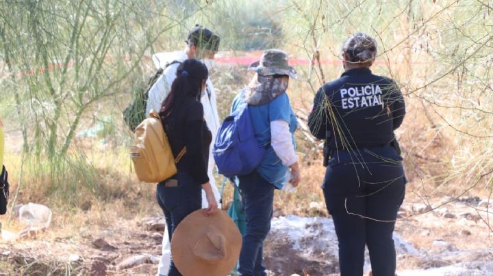 Guerreras Buscadoras de Cajeme hallan restos óseos tras denuncia anónima; serían de una mujer