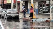 Foto ilustrativa de la nota titulada Conagua prevé más lluvias en Ciudad Obregón; Protección Civil lista para atender reportes