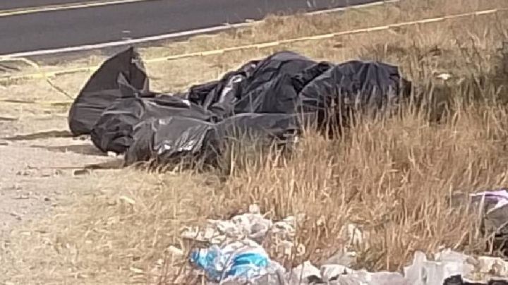 Fiscalía de Puebla: Hallan bolsas con restos humanos en la carretera Tehuacán-Orizaba