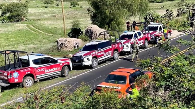 Fiscalía de Puebla Hallan bolsas con restos humanos en la carretera Tehuacán-Orizaba