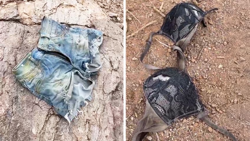Encuentran restos de mujer en monte al sur de Hermosillo; animales devoraron su cuerpo