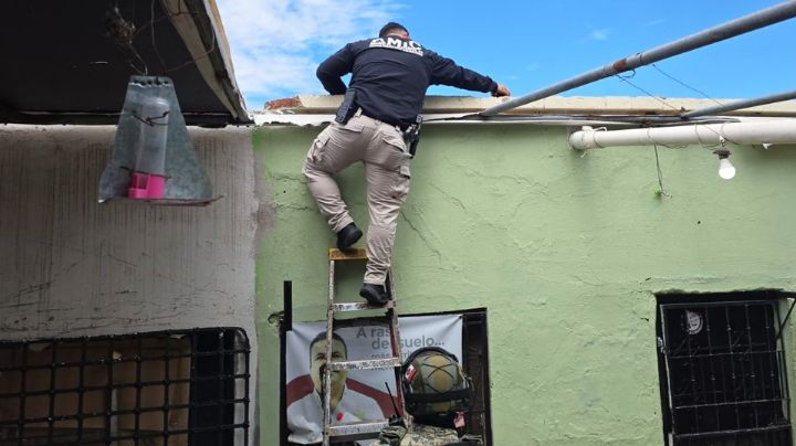 Operativo en Ciudad Obregón: Retiran cámaras de vigilancia instaladas en la zona Centro