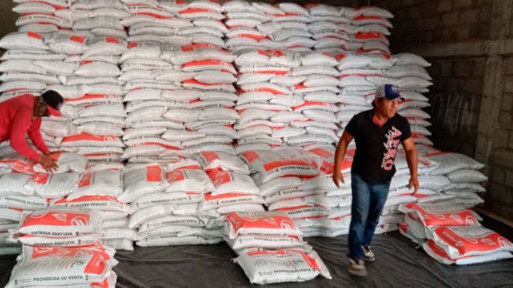 Programa de Fertilizantes Bienestar se extiende para pequeños productores de Sonora; esta es la FECHA límite