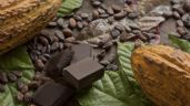 Foto ilustrativa de la nota titulada Día Mundial del Cacao y el Chocolate: Origen y por qué se conmemora HOY 7 de julio