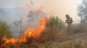Foto ilustrativa de la nota titulada Incendios forestales elevan en 50% el gasto operativo de Bomberos Voluntarios de Guaymas