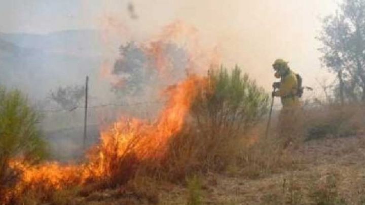 Incendios forestales elevan en 50% el gasto operativo de Bomberos Voluntarios de Guaymas
