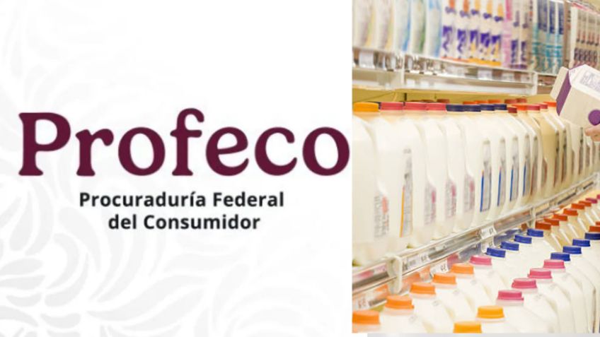 Profeco descalifica 5 marcas de leche por no cumplir estándares y recomienda no consumir