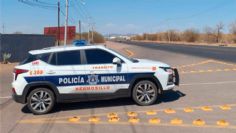 Dos robos en Hermosillo: Cae por llevar ropa ajena y otro por sustraer lámpara de oficina de Gobierno