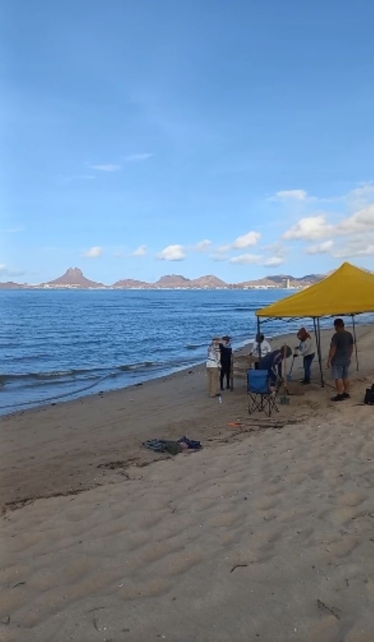 Las mujeres trabajan en la playa