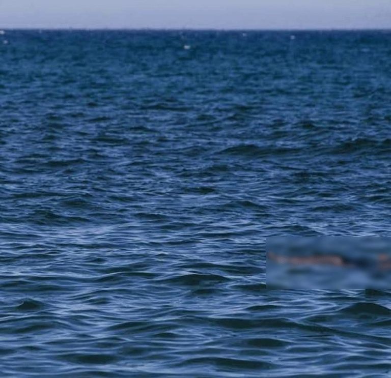 Cuerpo sin vida en medio del mar 