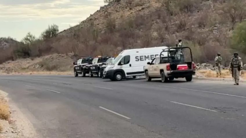 Terrible hallazgo: Encuentran cuerpo putrefacto y colgado de árbol en monte de Empalme