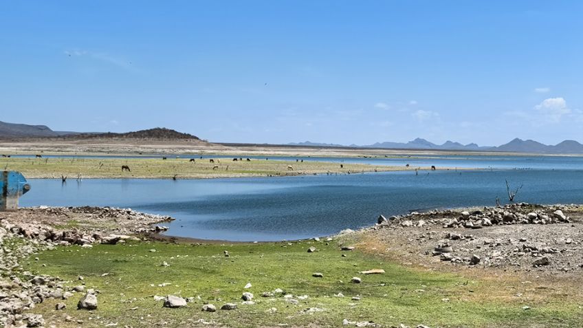 Ante autoridades, productores del sur de Sonora insisten en declaratoria de desastre natural por la sequía