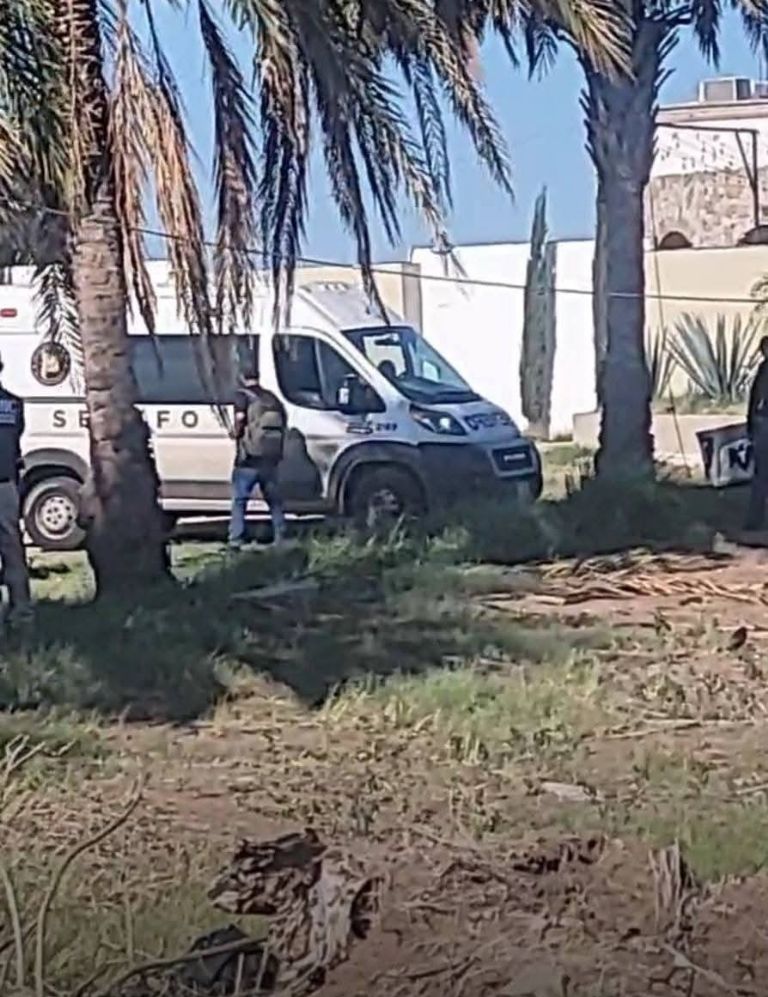 Encuentran cadáver por la calle Kino; estaba atado de pies y manos