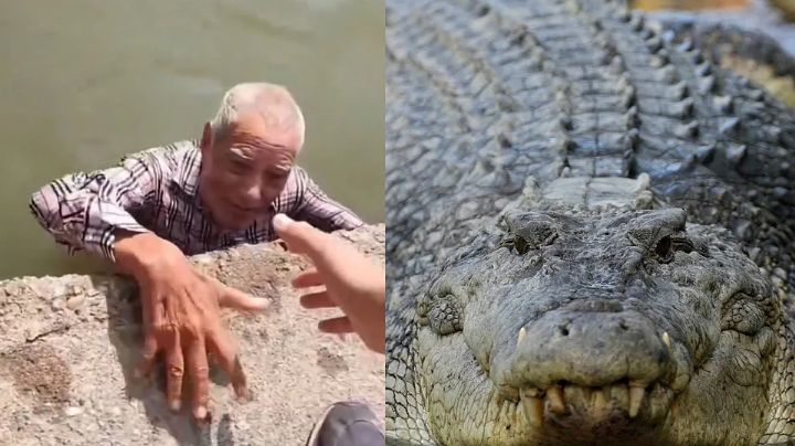 FUERTE VIDEO: 'Abuelito' desaparece en San Luis; lo encuentran a punto de ser DEVORADO por cocodrilos en Tamaulipas