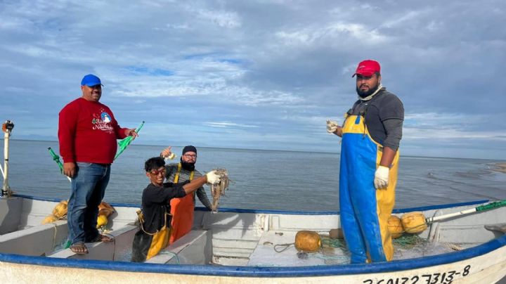 Pescadores del sur de Sonora piden adelantar fechas para la pesca de camarón
