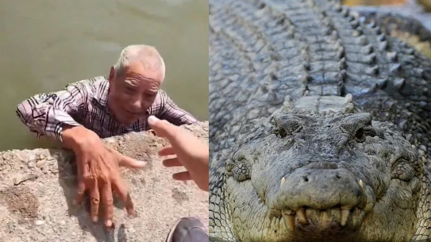 FUERTE VIDEO: 'Abuelito' desaparece en San Luis; lo encuentran a punto de ser DEVORADO por cocodrilos en Tamaulipas