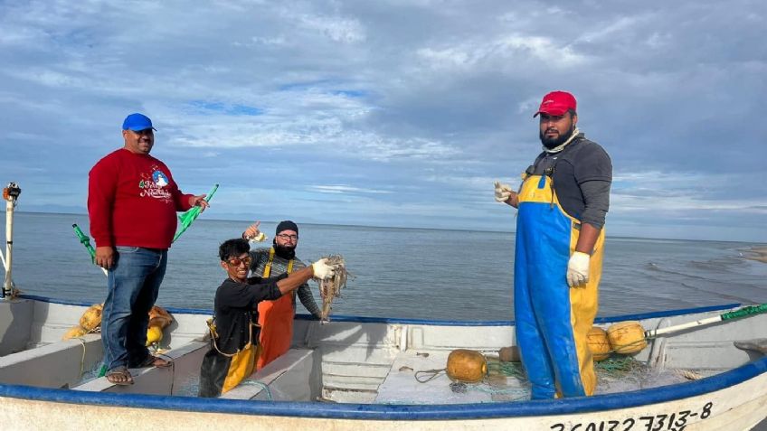 Pescadores del sur de Sonora piden adelantar fechas para la pesca de camarón