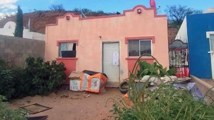 Rescatan a 54 perros en domicilio de Nogales; acusan que fungía como rastro clandestino