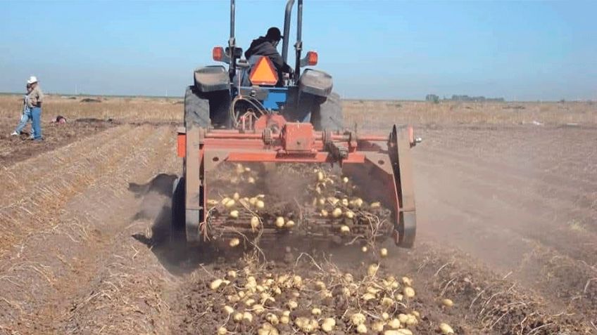 Valle del Yaqui: Agricultores piden que proceda la declaración de emergencia por sequía