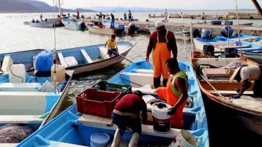 Empalme: Aranceles de Donald Trump 'pegarían' a próxima temporada camaronera