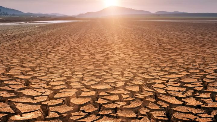 Alcano considera que desde hace un año el sur de Sonora debió ser declarado zona de desastre por sequía