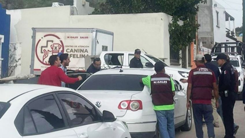 Confirmado por la Fiscalía: Carne encontrada en casa de Nogales era de res, no de perro