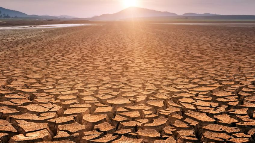 Alcano considera que desde hace un año el sur de Sonora debió ser declarado zona de desastre por sequía