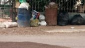 Foto ilustrativa de la nota titulada Alertan de que la generación de basura en el municipio de Navojoa aumenta durante vacaciones