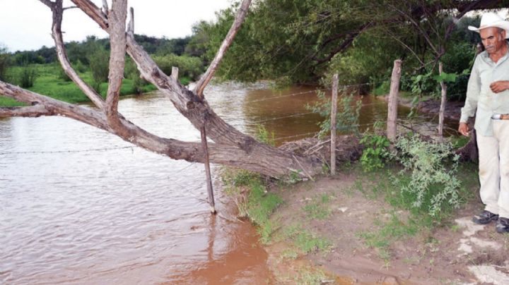 Gobierno trabaja en acuerdo con Grupo México para reparar daños en Río Sonora: Sheinbaum