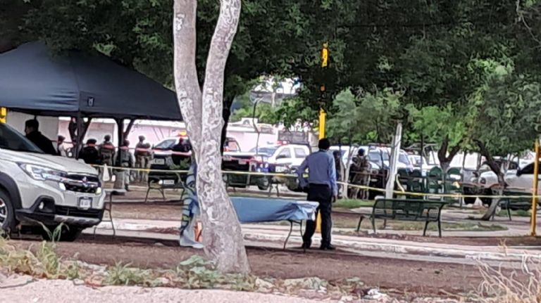 Los hechos ocurrieron el pasado viernes. Foto: Facebook