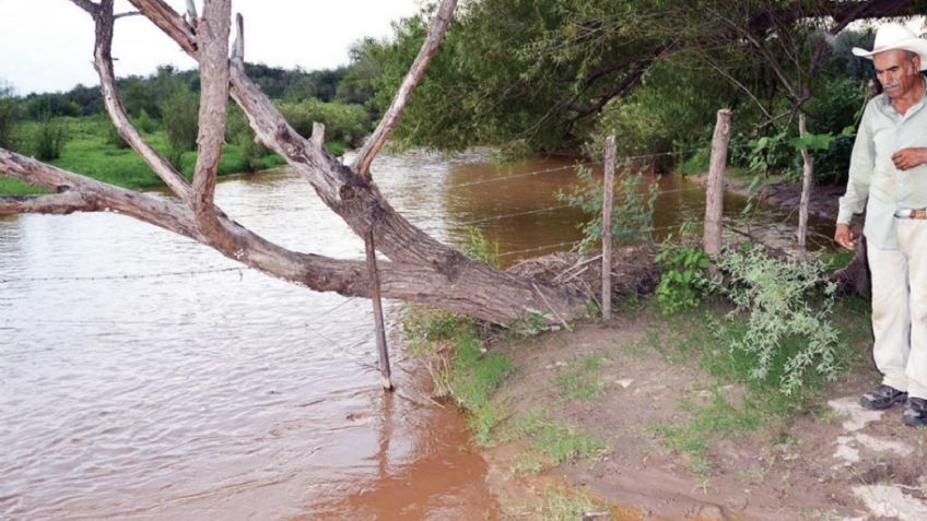 Gobierno trabaja en acuerdo con Grupo México para reparar daños en Río Sonora: Sheinbaum