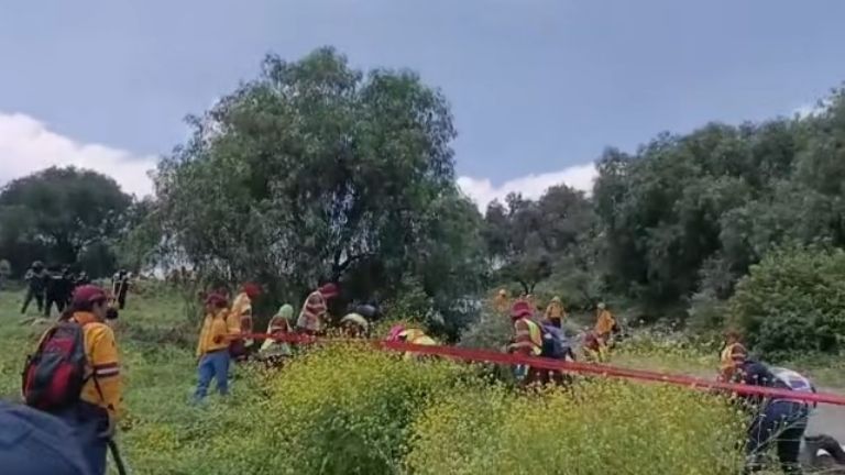 Participan diversos colectivos 