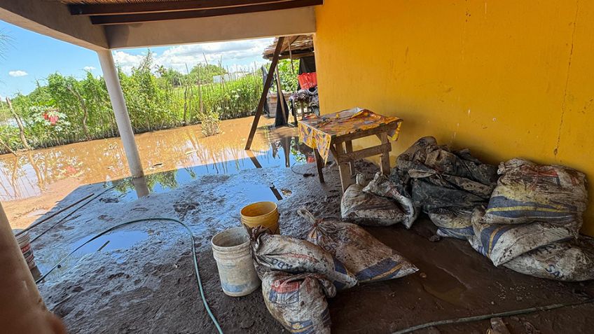 Comunidades rurales en Etchojoa terminan bajo el agua tras las recientes lluvias