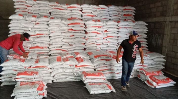 Avanza entrega del programa Fertilizantes para el Bienestar de Sader en Sonora