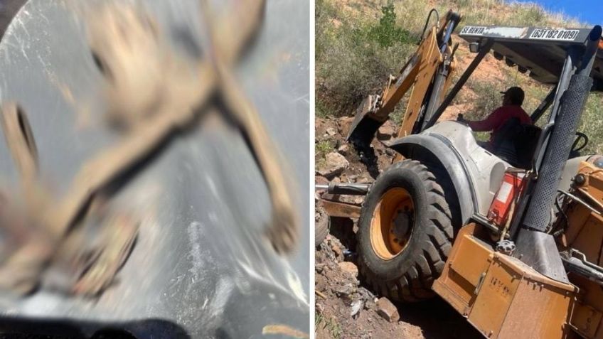 Alerta en Sonora: Hallan osamenta humana al interior de fosa clandestina en Nogales