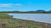 Foto ilustrativa de la nota titulada Guaymas: Tiempo se agota para programación de cultivos; no hay agua en la presa