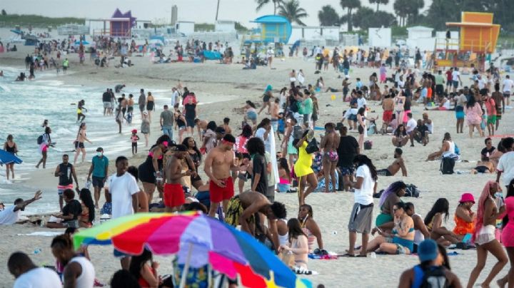 EU: Ocho muertos por bacteria carnívora vinculada al agua de mar y mariscos crudos