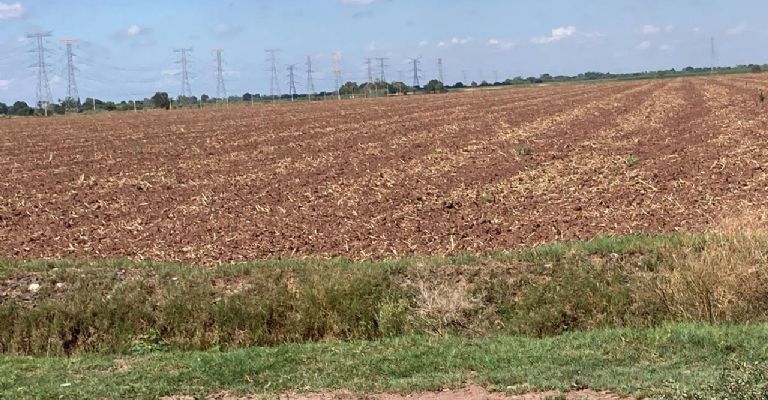 Las siembras pueden verse paralizadas