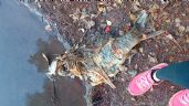 Foto ilustrativa de la nota titulada Investigan extraña aparición de animales muertos en Laguna del Náinari de Ciudad Obregón